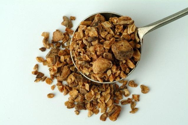 Корень цикория