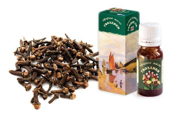 Масло гвоздики