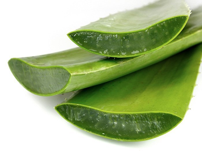 листья алоэ