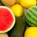 Арбуз и дыня