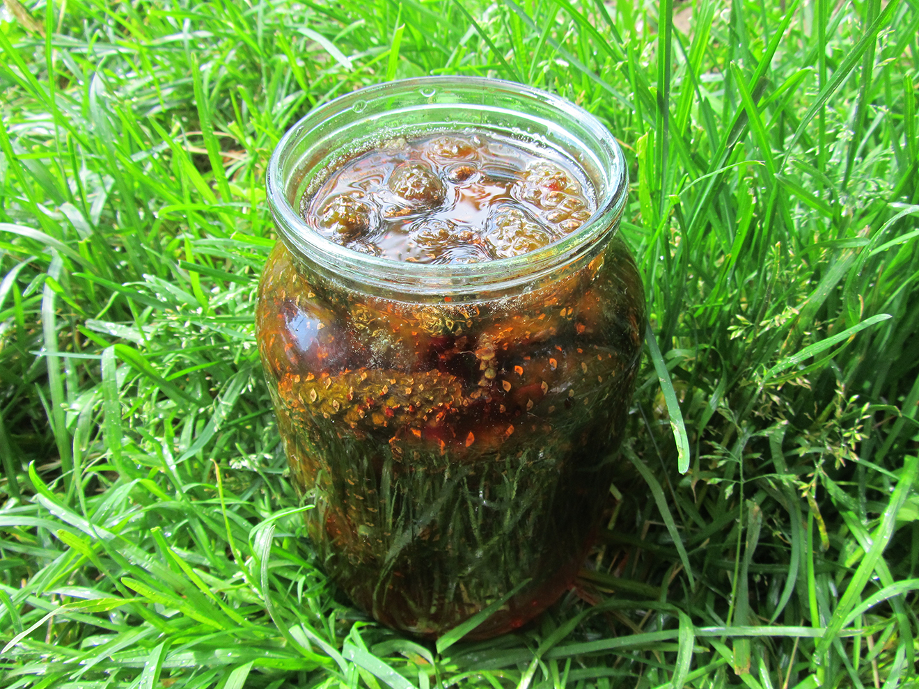 Банка с сосновыми шишками на траве
