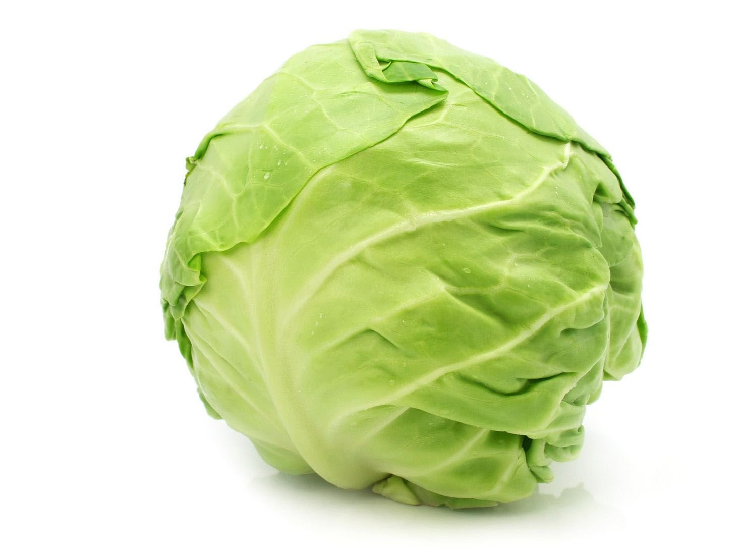 Белокачанная капуста