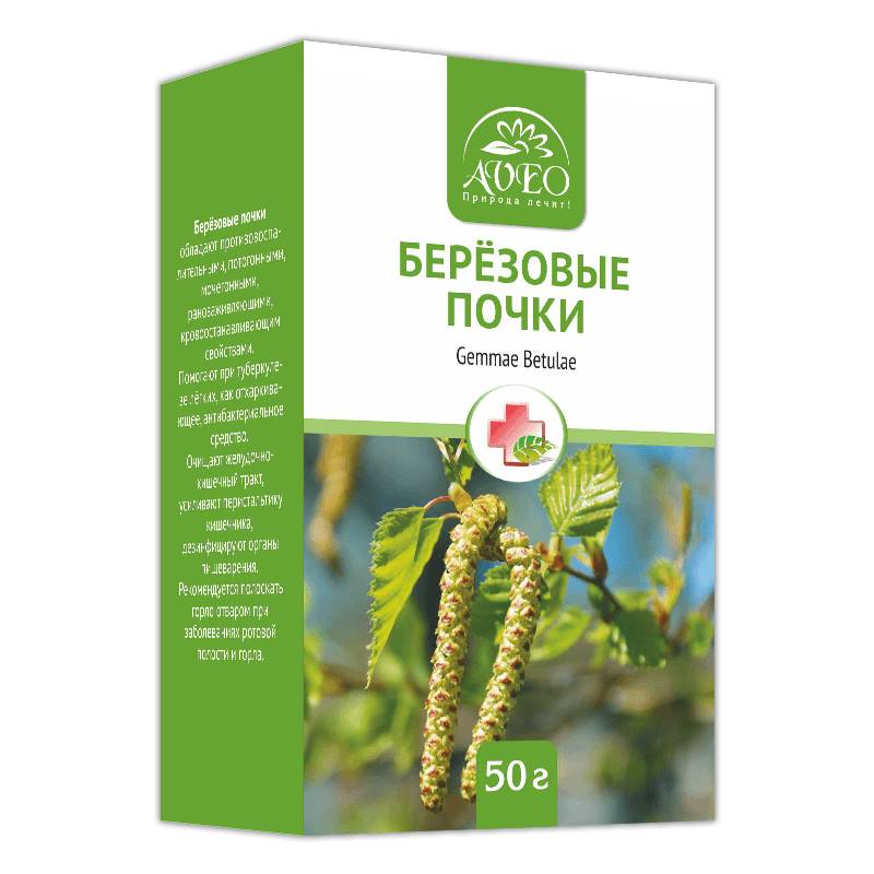 Березовые почки