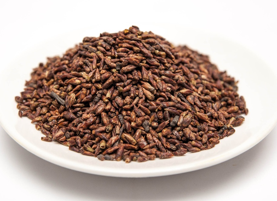 Берёзовые почки