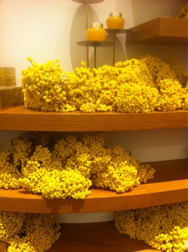 Бессмертник сушится на полочках