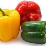 Болгарский перец