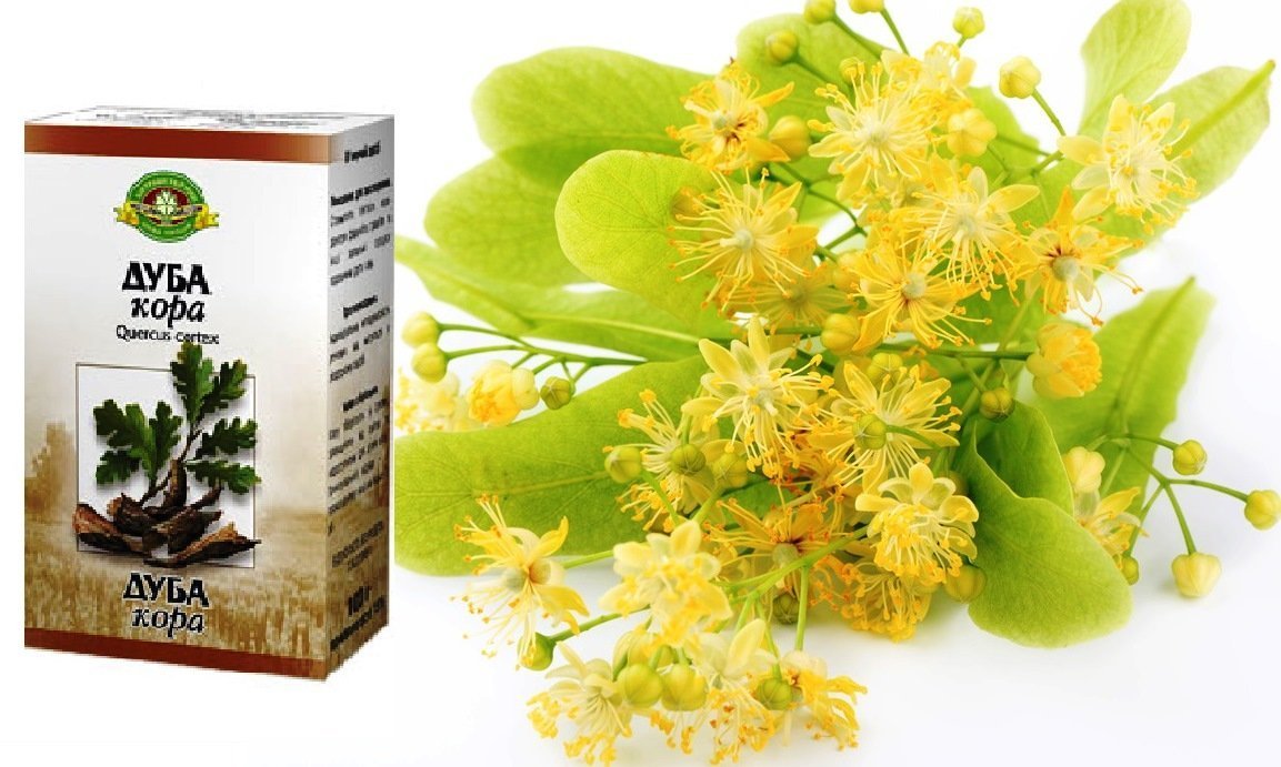 Липовый цвет и кора дуба