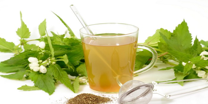 Травы и чашка чая