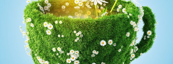 Чашка из трав и цветов