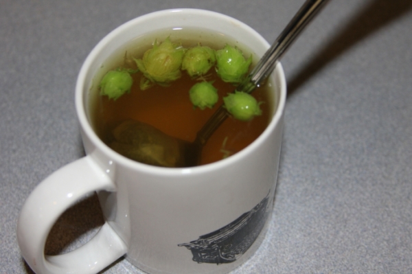 Чай с хмелем