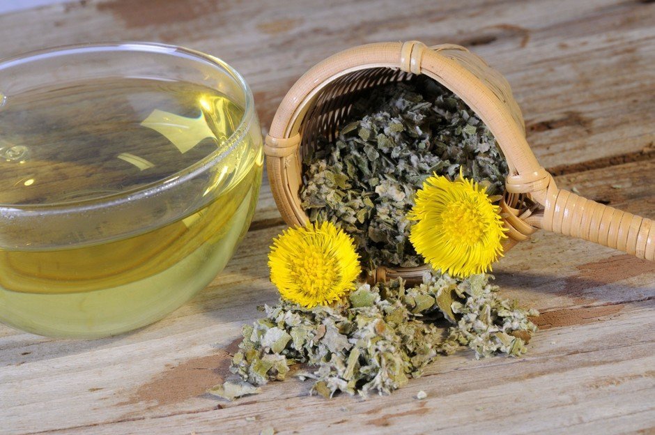 Чай с мать-и-мачехой