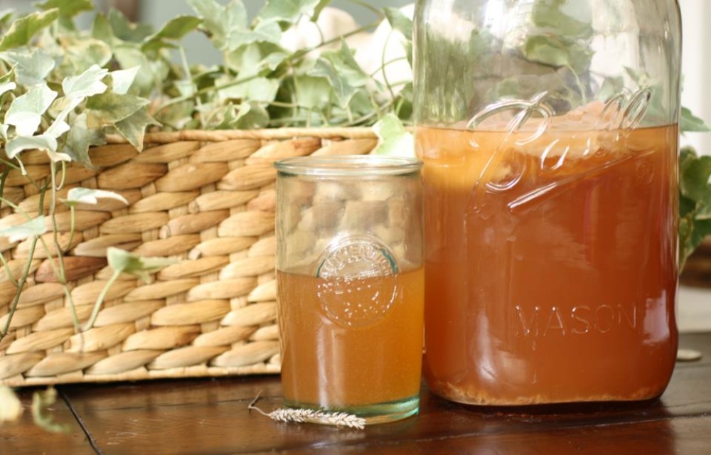 Чайный гриб