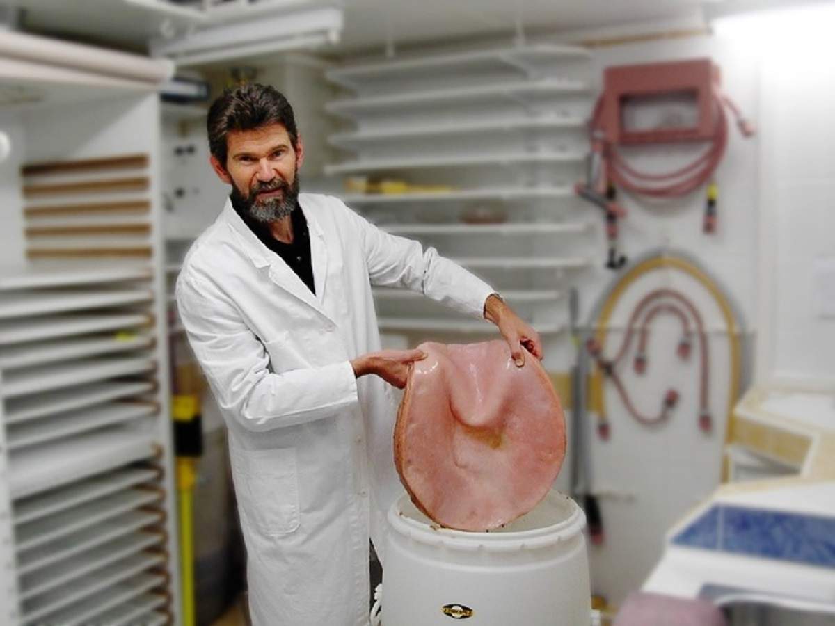 Чайный гриб в промышленных условиях