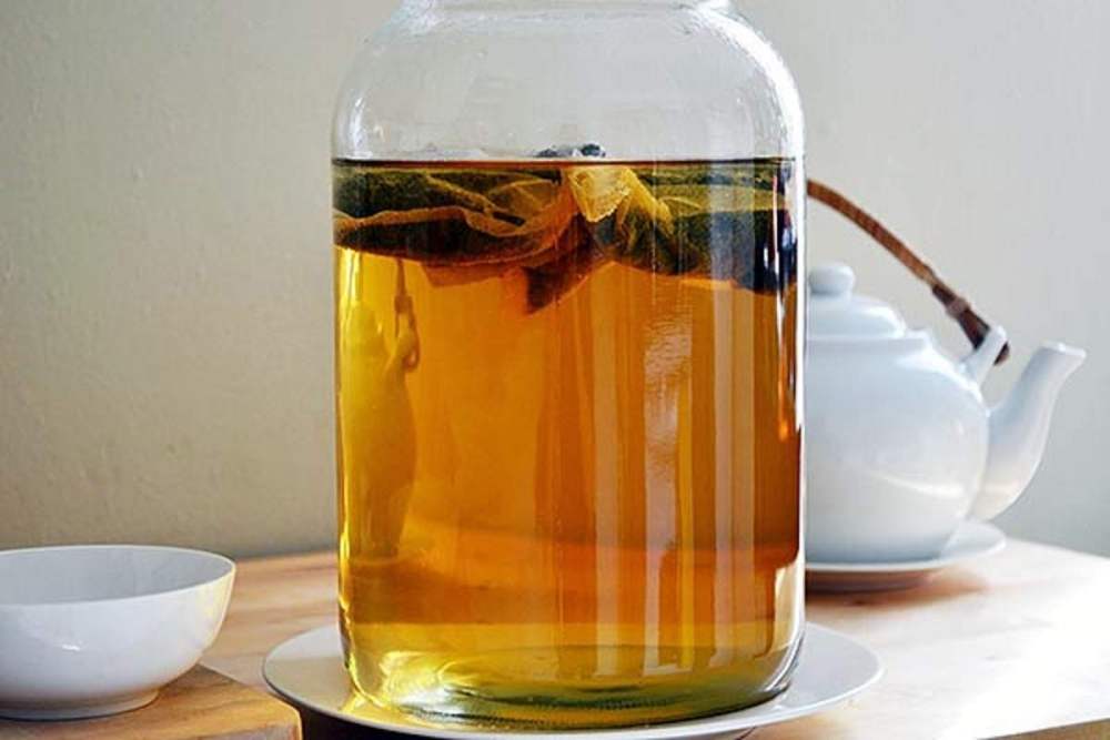 Чайный гриб