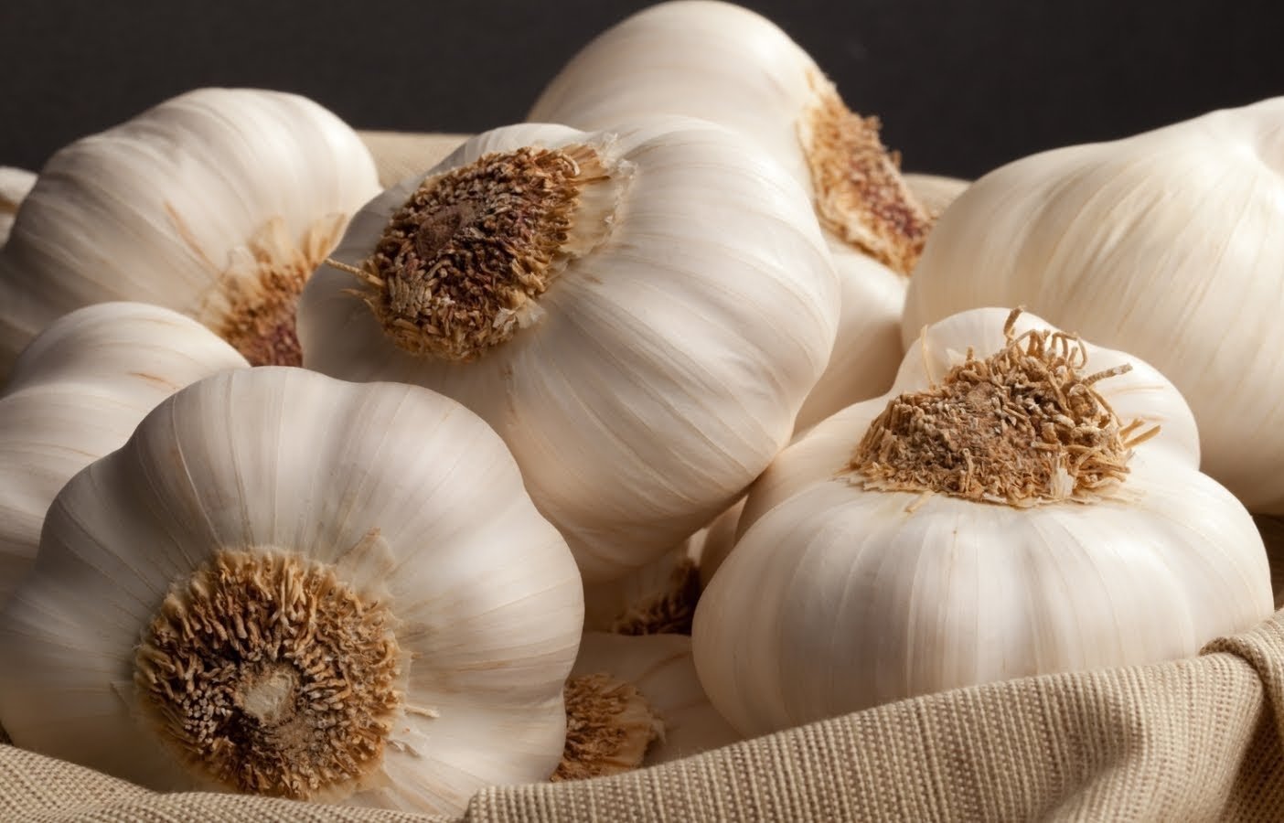 Чеснок
