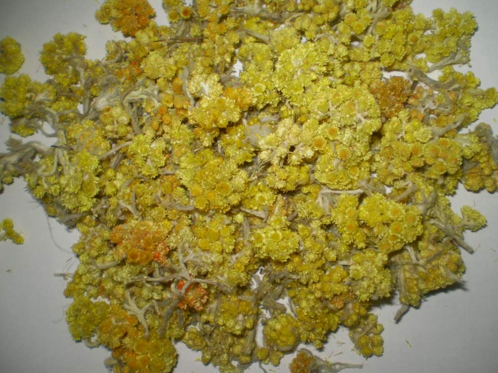 Засушенные цветы цмина на столе