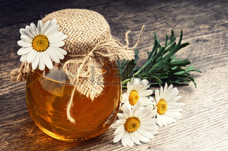 Цветки ромашки с мёдом