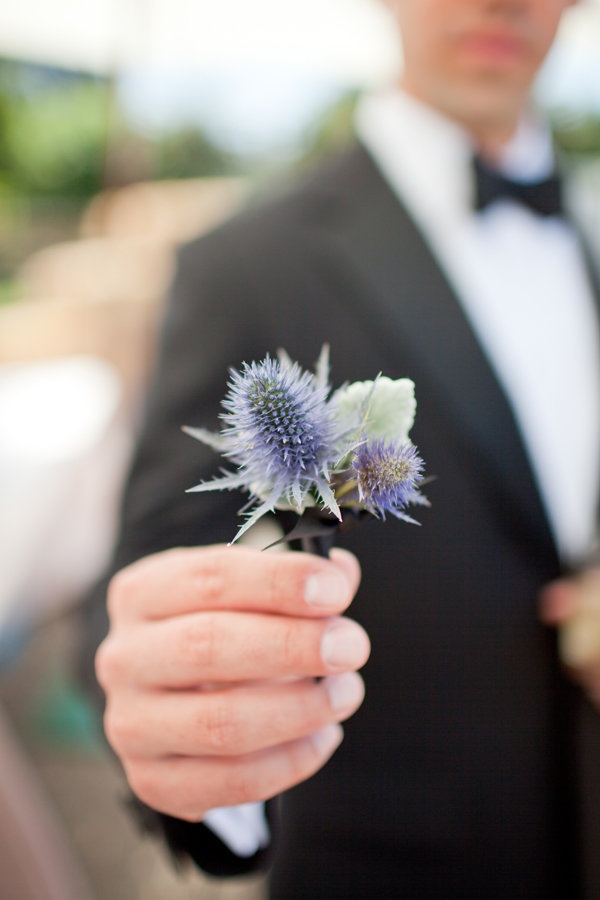 Цветы чертополоха в руке у молодого человека