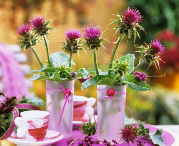 Цветы татарника в вазочках