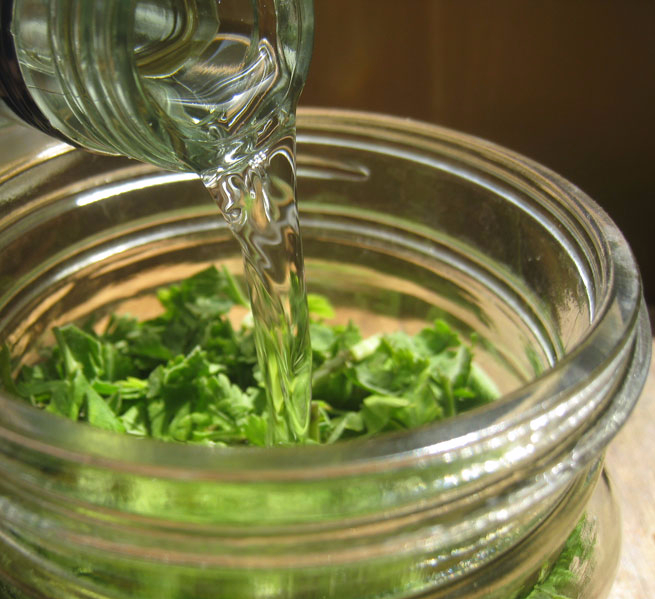 Измельчённые листья хрена заливают водкой