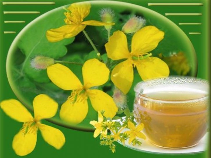 Отвар чистотела