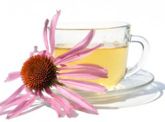 домашняя настойка эхинацеи