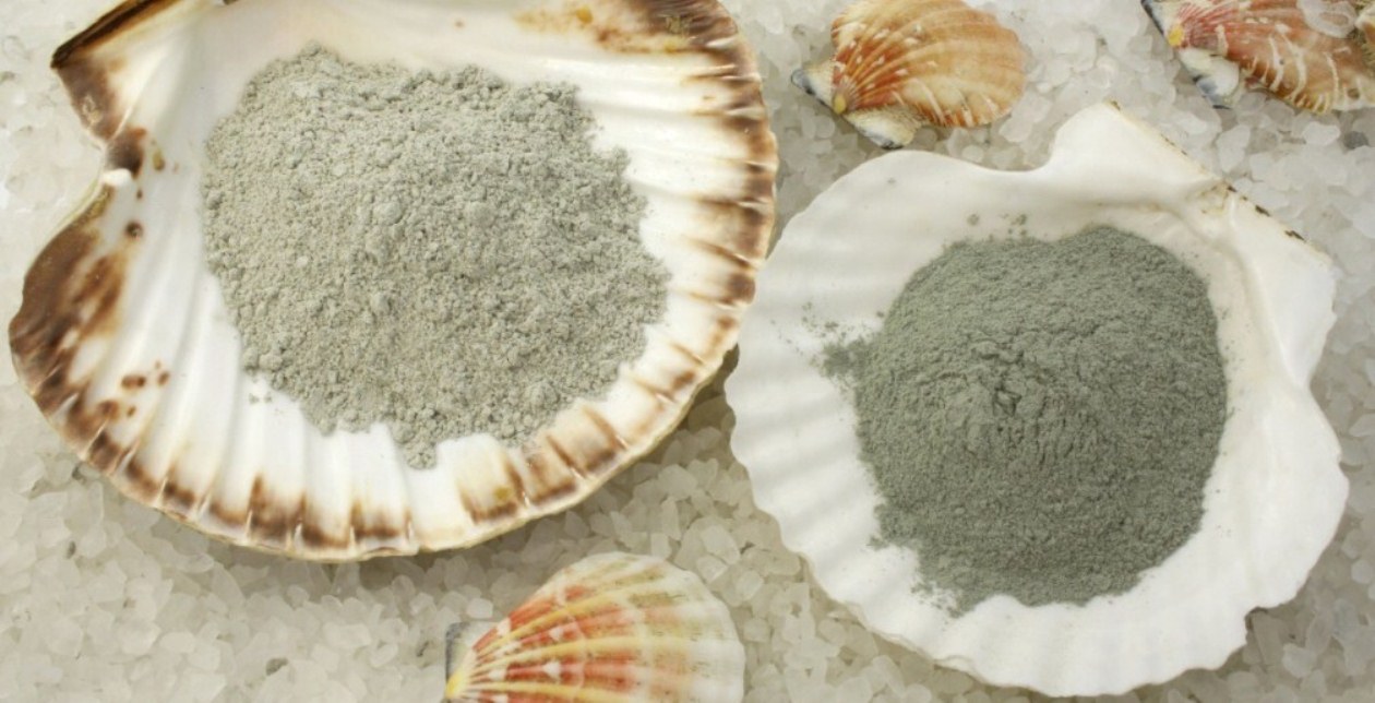 Глина в двух ракушках