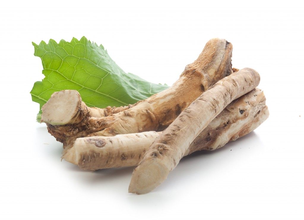 Корень и лист хрена