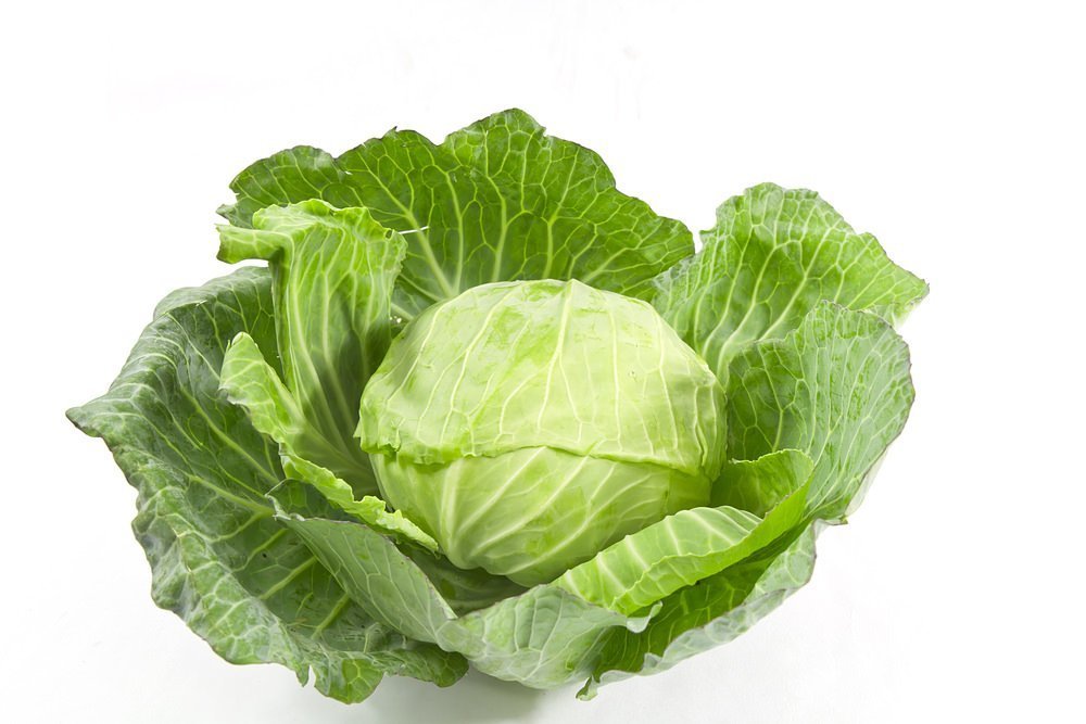 Капустный лист