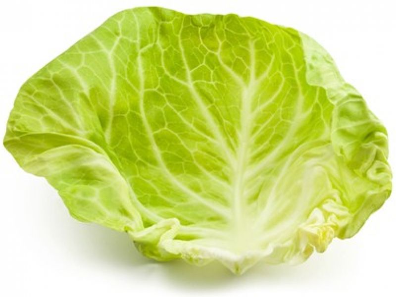 Капустный лист