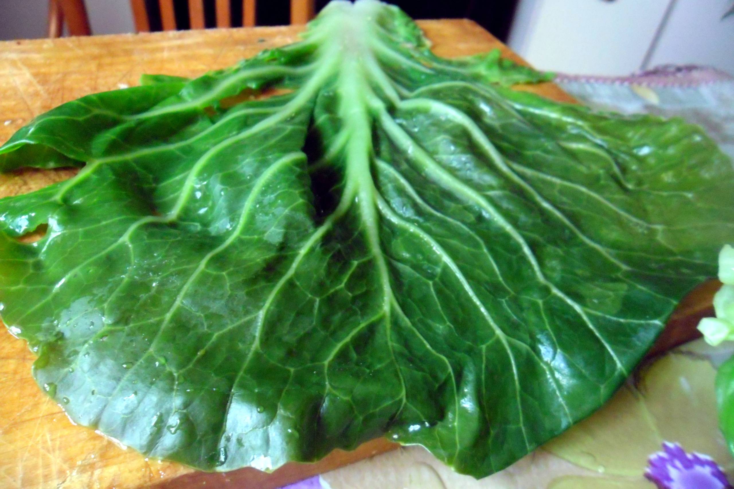 Капустный лист