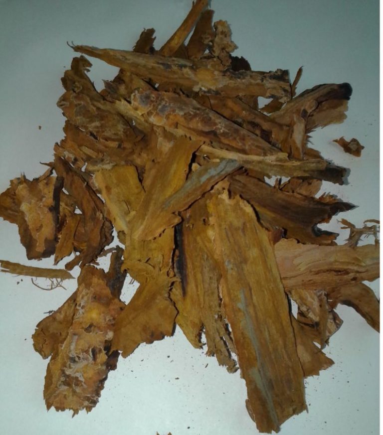 Кусочки коры