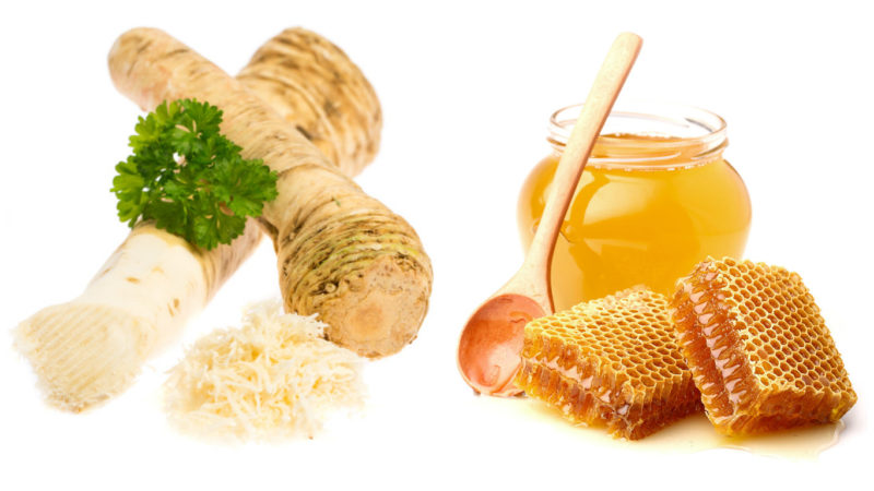 Корень хрена и мёд
