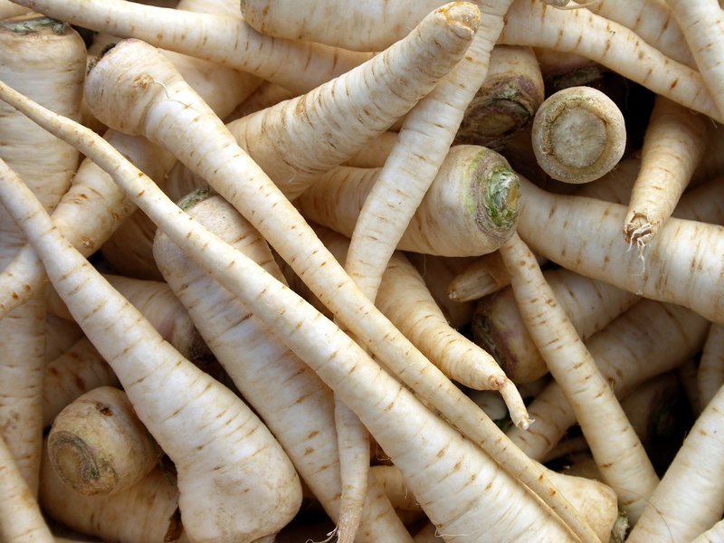 Корень петрушки