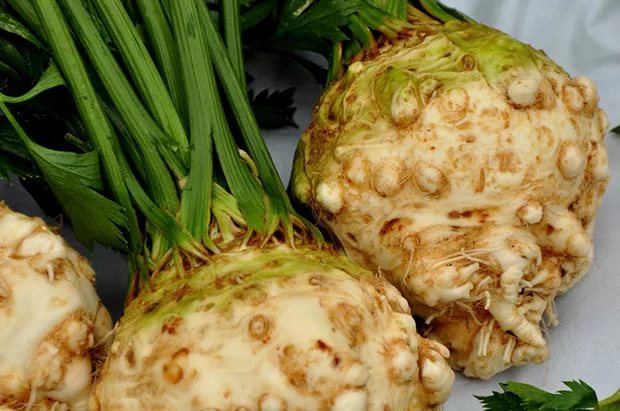 Корень сельдерея