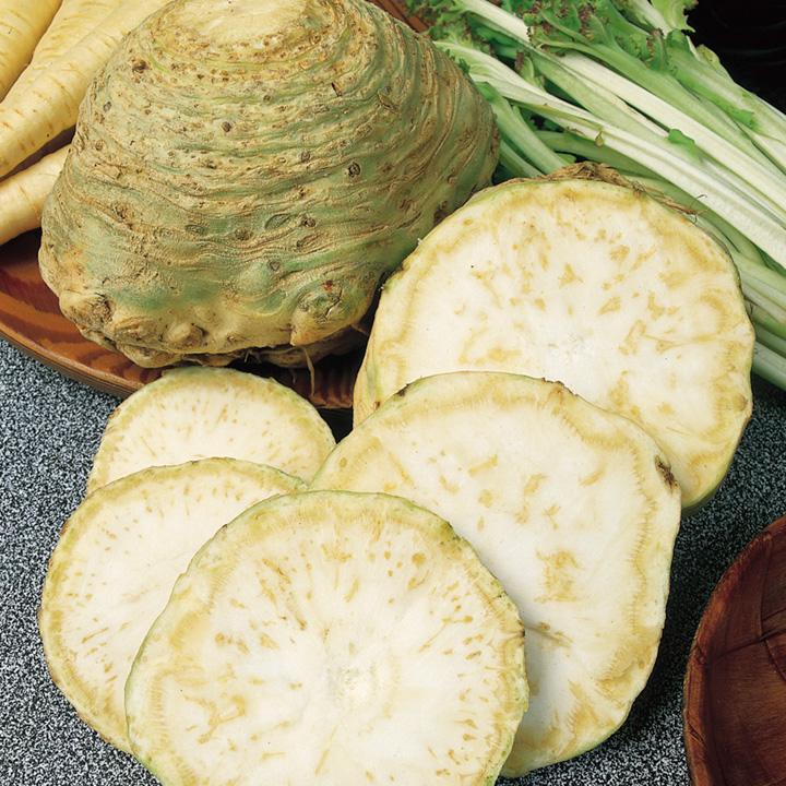 Корень сельдерея, порезанный кружочками