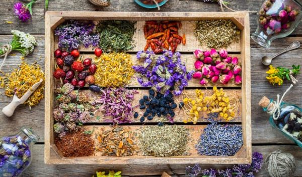 Коробочка с травами и пряностями