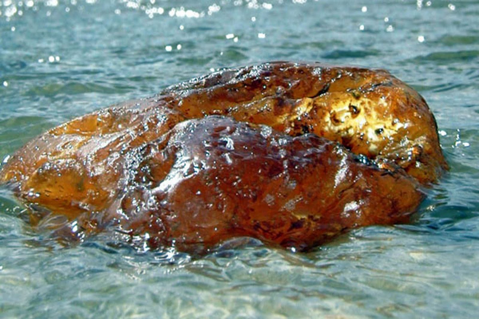 Крупный янтарь среди волн