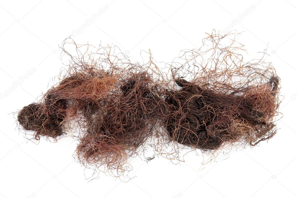 Кукурузные рыльца сухие