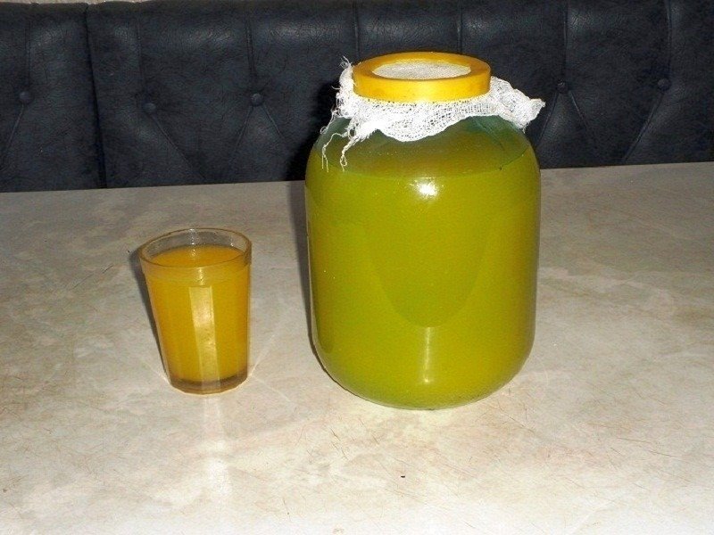 Квас Болотова