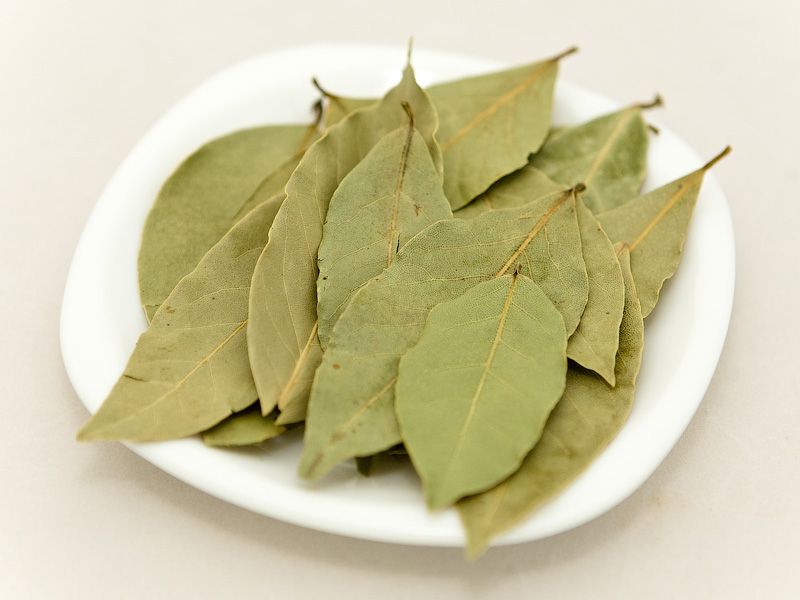 Лавровый лист