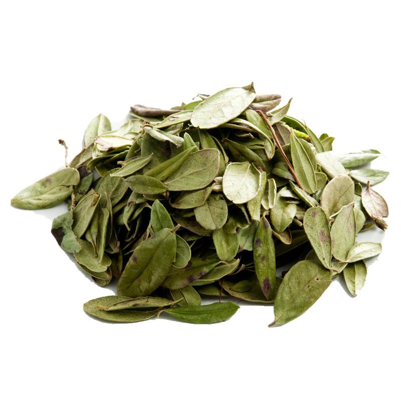 Листья брусники