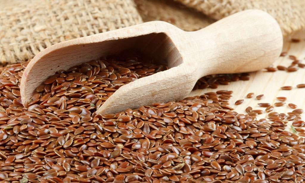 Льняное семя