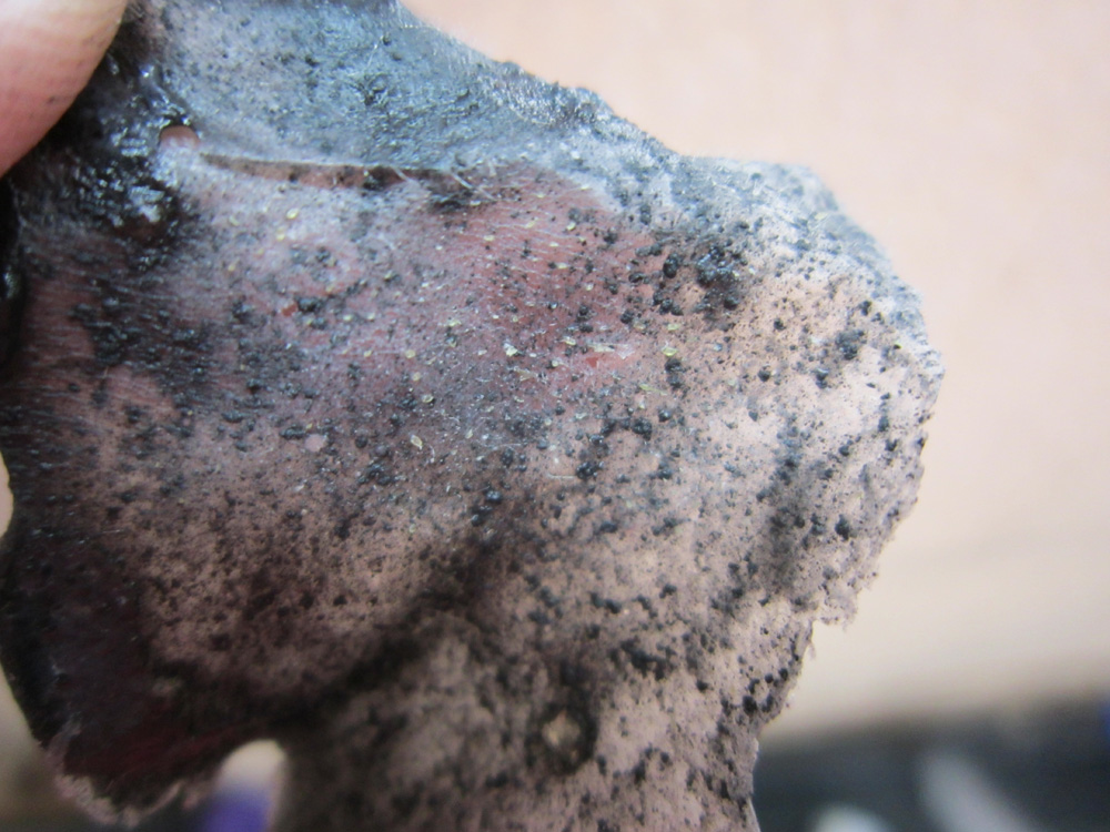 маска из активированного угля