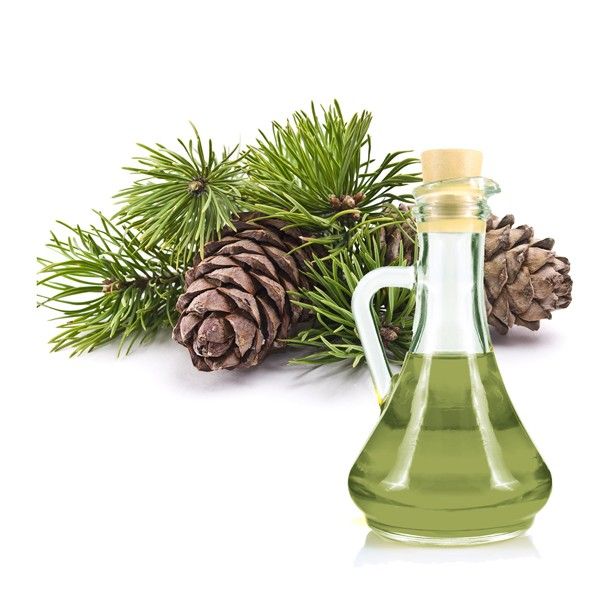 Масло пихты - натуральное лечебное и витаминное масло