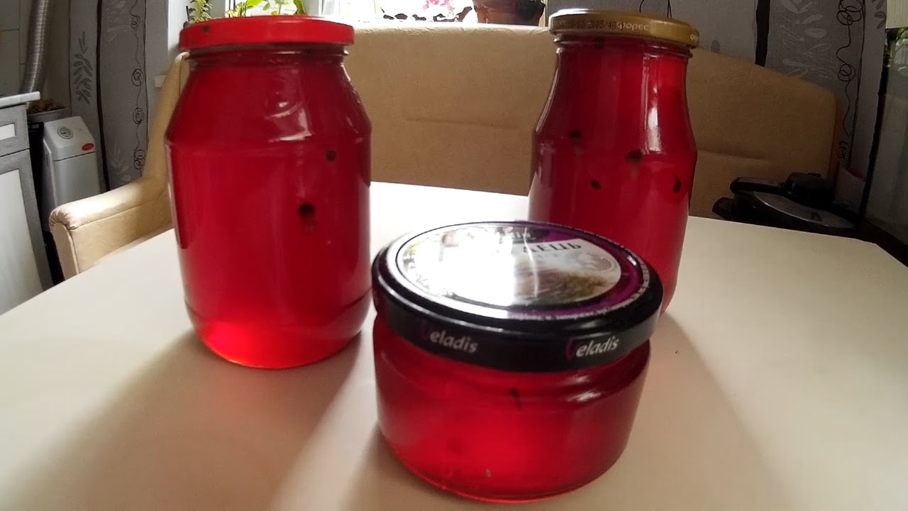 Масляный экстракт шишек в банках