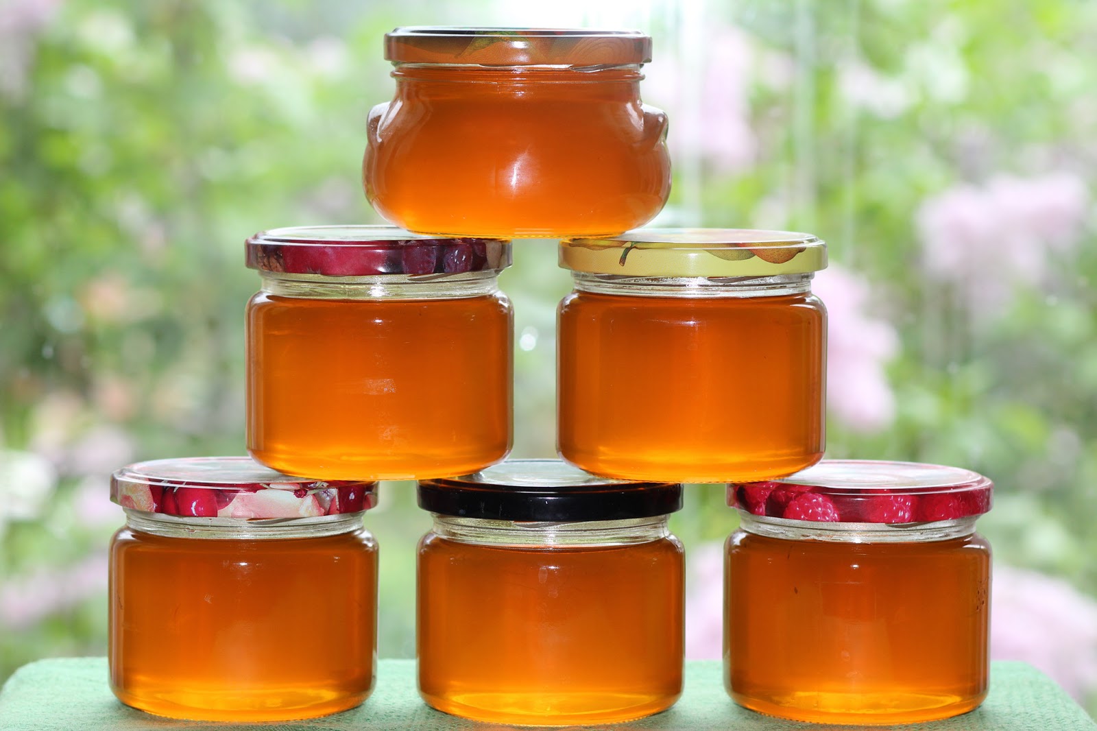 Мёд из сосновых шишек в банках