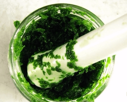 Мякоть каланхоэ в ступке