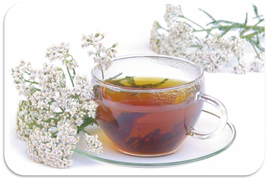 Чай из тысячелистника