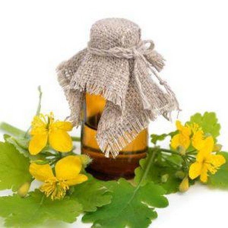 Готовая настойка чистотела